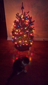 Our First Christmas Tree